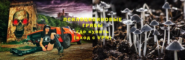 спайс Нягань