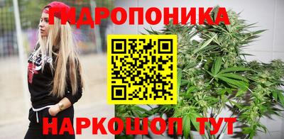 соль ск Дубна
