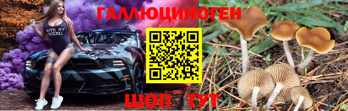 Галлюциногенные грибы Magic Shrooms Красноперекопск