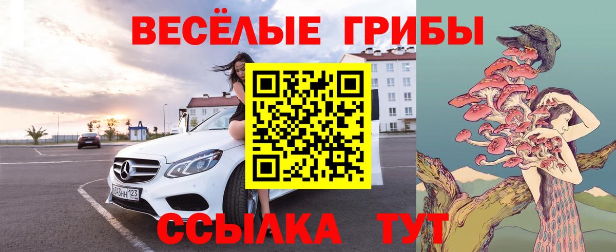 Галлюциногенные грибы MAGIC MUSHROOMS Красноперекопск