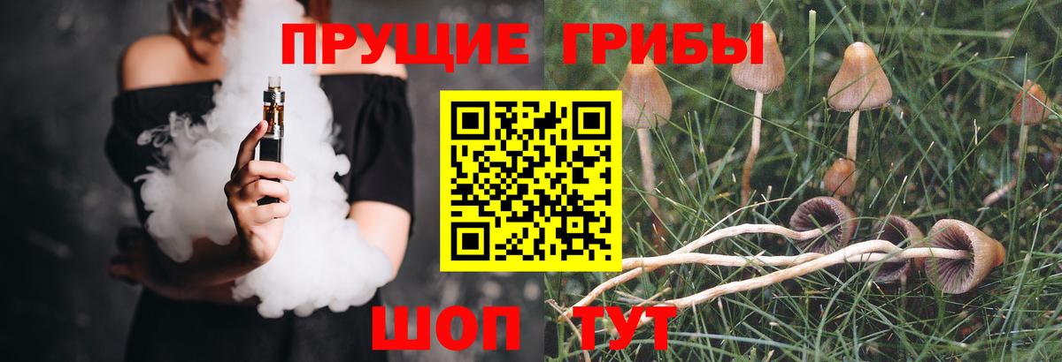 Псилоцибиновые грибы GOLDEN TEACHER  Псилоцибиновые грибы ЛСД  Красноперекопск  Вход с VPN 